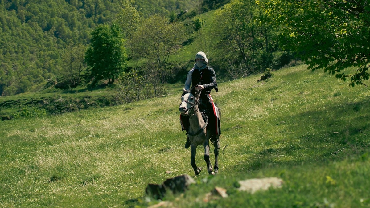 a man riding on the back of a brown horse